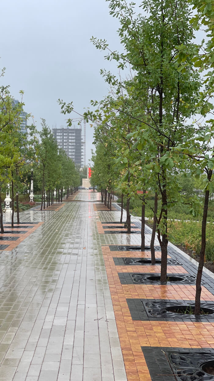 Приствольная решетка для дерева ZKING CRUST 1.2х1.2м Черная в Заводоуковске фото